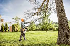 Best Seasonal Cleanup (Spring/Fall)  in Jal, NM